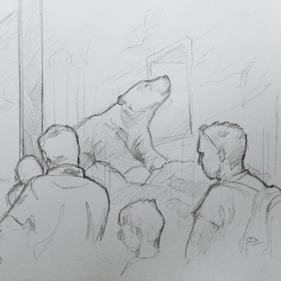 Quick Sketch. 'Prague Zoo.' Crowds admiring a polar bear. This zoo was opened in 1931, and is considered amongst the top ten zoos in the world. @davidasutton @sketchbookexplorer Facebook.com/davidanthonysutton #drawing #sketch #prague #travel #travelblog #praguezoo