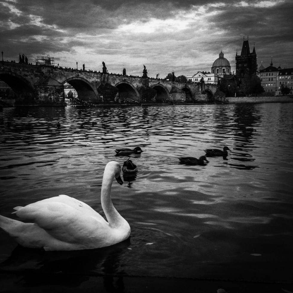Photograph. 'Charles Bridge, Prague.' This 15th century bridge, originally named 'Prague Bridge' and 'Stone Bridge', crosses the Vltava river, connecting Prague Castle and the Old Town. It has been home to 30 statues since the 1700s, but, unbeknownst to most tourist who cross it, all the statues have now been replaced by replicas. @davidasutton @sketchbookexplorer Facebook.com/davidanthonysutton #b&w #photography #prague #travel #travelblog #charlesbridgeprague