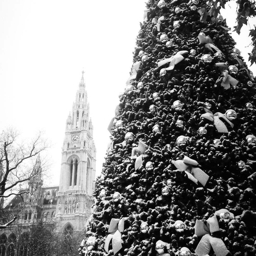 Urban photo - Vienna, Austria. 'Viennese Dream Christmas Market.' You will find this winter wonderland in front of the City Hall. Come for the Christmas market stalls, the amazing decorations, or the ice ring. It is open this year from 17th November to the 26th December. sketchbookexplorer.com @davidasutton @sketchbookexplorer Facebook.com/davidanthonysutton #photograph #b&w #vienna #travel #travelblog #viennachristmas