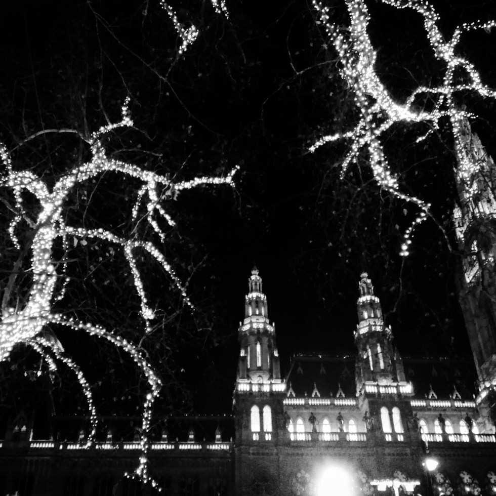 Urban photo - Rathausplatz, Vienna, Austria. 'Vienna Ice World.' Even after Christmas, winter still holds magical surprises in Vienna. During the Ice World festival, there is an ice ring path that winds its way through the city hall park. sketchbookexplorer.com @davidasutton @sketchbookexplorer Facebook.com/davidanthonysutton #photograph #b&w #vienna #travel #travelblog #viennaiceworld