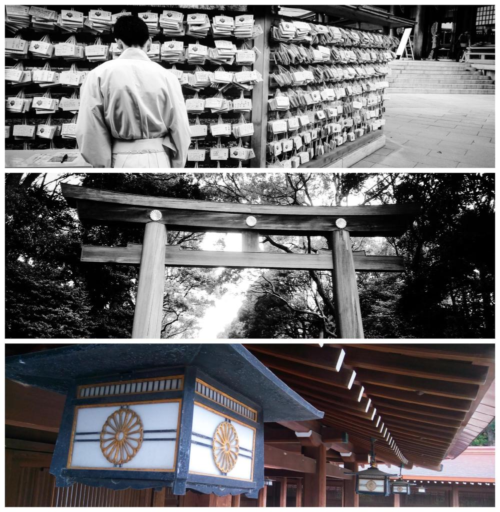 Photos of Meiji Shrine, Tokyo
