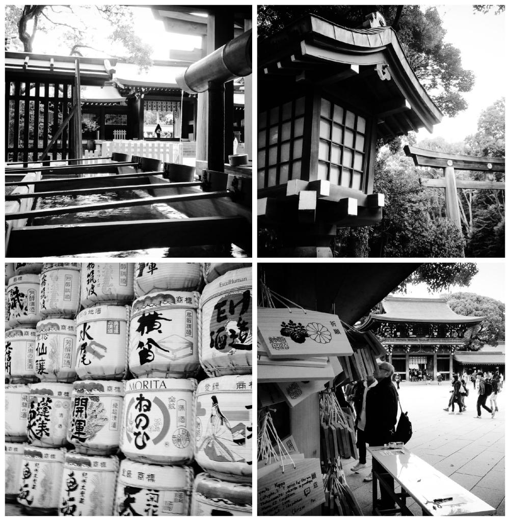 Photos of Meiji Shrine, Tokyo
